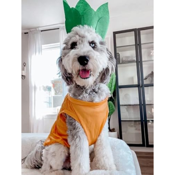 Midlee Pineapple Dog Halloween Costume for All Pets