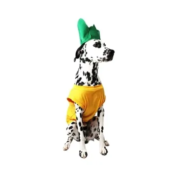 Midlee Pineapple Dog Halloween Costume for All Pets