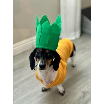 Midlee Pineapple Dog Halloween Costume for All Pets
