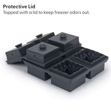 W&P Crystal Ice Tray for Perfect Etched Slow-Melting Cubes