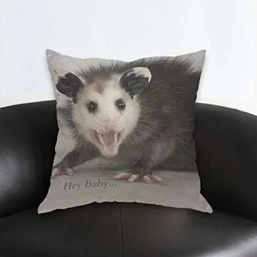 AOYEGO Hey Baby Opossum Throw Pillow Cover Cute Animal Pillow Case 18x18 Inch Decorative Men Women R...