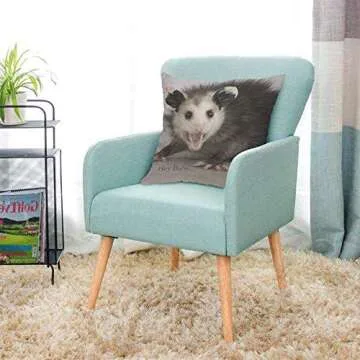 AOYEGO Opossum Throw Pillow Cover for Home Decor