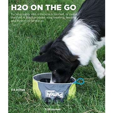 Outward Hound Port-A-Bowl Portable Dog Dish, 48 oz