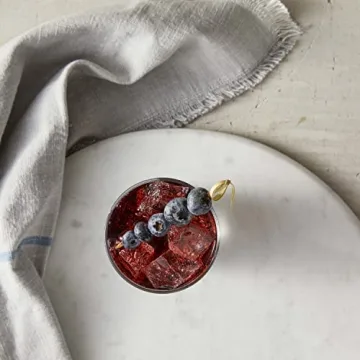 DaVinci Gourmet Classic Blueberry Syrup - Elevate Your Drinks