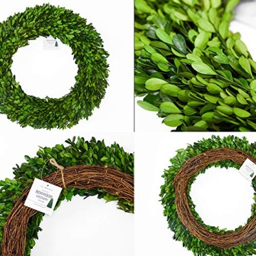 BOXWOOD WORLD Boxwood Wreath Large 17 inch Preserved Nature Real Boxwood Wreath Home Decor Stay Fresh for Years Wreath for Halloween and Thanksgiving Home Indoor Decor