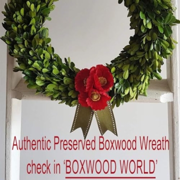 BOXWOOD WORLD Boxwood Wreath Large 17 inch Preserved Nature Real Boxwood Wreath Home Decor Stay Fresh for Years Wreath for Halloween and Thanksgiving Home Indoor Decor