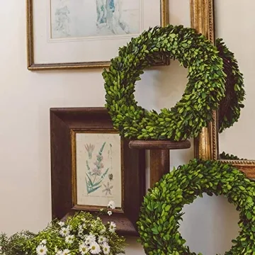 BOXWOOD WORLD Boxwood Wreath Large 17 inch Preserved Nature Real Boxwood Wreath Home Decor Stay Fresh for Years Wreath for Halloween and Thanksgiving Home Indoor Decor