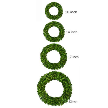 BOXWOOD WORLD Boxwood Wreath Large 17 inch Preserved Nature Real Boxwood Wreath Home Decor Stay Fresh for Years Wreath for Halloween and Thanksgiving Home Indoor Decor