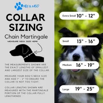 Max and Neo Stainless Steel Chain Martingale Collar - We Donate a Collar to a Dog Rescue for Every Collar Sold (Large, Black)