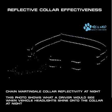 Max and Neo Stainless Steel Chain Martingale Collar - We Donate a Collar to a Dog Rescue for Every Collar Sold (Large, Black)