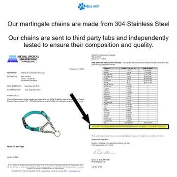 Max and Neo Stainless Steel Chain Martingale Collar - We Donate a Collar to a Dog Rescue for Every Collar Sold (Large, Black)