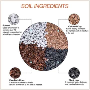 Bonsai Soil by The Bonsai Supply – 2qts. Professional Bonsai Soil Micro Mix | Ready to use| Great ...