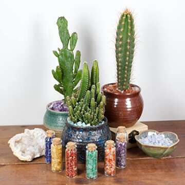 Cherry Tree Collection 1/2 Pound Polished Tumbled Gemstone Chips, Pebbles, Crystal Chips Bulk for Jewelry Making, Healing, Plants, Succulents, Aquariums, Decoration, Chakra (Amethyst)