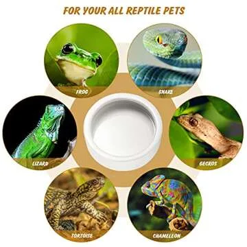 Ceramic Reptile Bowl for Bearded Dragons & Geckos 5in