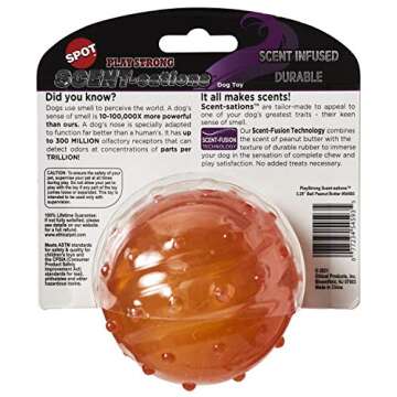 SPOT Play Strong Scent-sations Ball - Scent-Infused, Strong, Durable TPR Rubber, Heavy Duty Dog Toys...