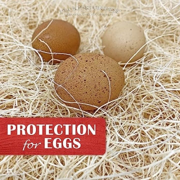 Sustainable Nest Box Pads for Cleaner Eggs and Happy Hens