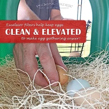 Sustainable Nest Box Pads for Cleaner Eggs and Happy Hens