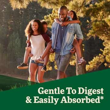 Floradix Iron & Herbs Liquid Supplement for Energy Support