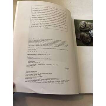 Painting More Animals on Rocks Art Kit for All Ages