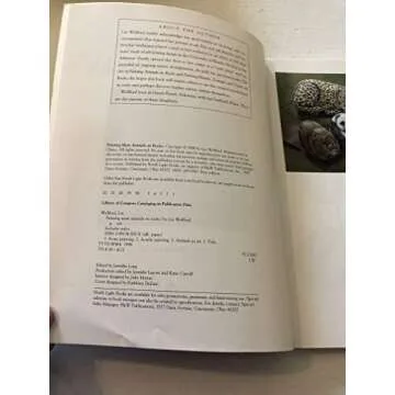 Painting More Animals on Rocks Art Kit for All Ages