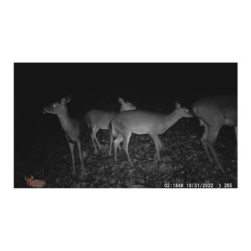 Wildgame Innovations Terra Extreme 14MP IR Trail Camera