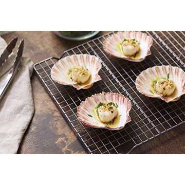 Nantucket Seafood Natural Baking Sea Shells Set of 4