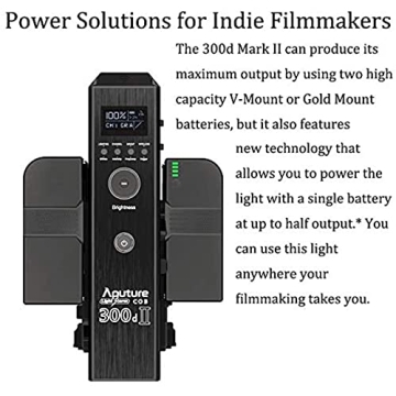 Aputure 300d II - 350W Professional LED Video Light