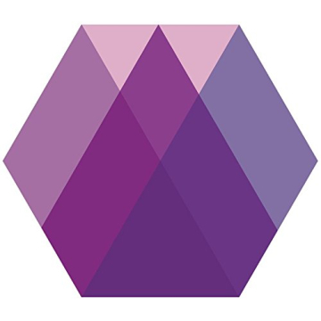 Petunia Vogue Paper Placemats for Stylish Events