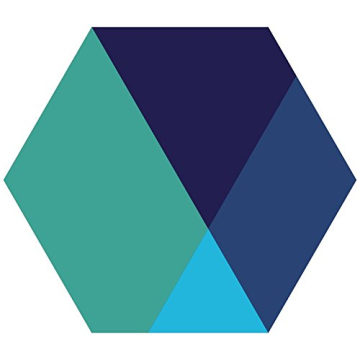 Petunia Vogue Paper Placemats for Stylish Events