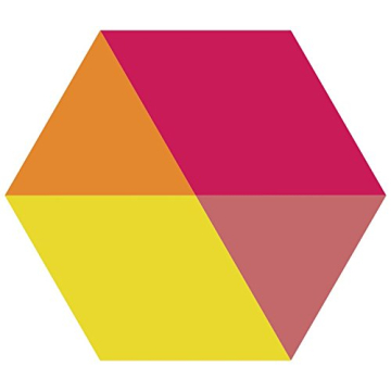 Petunia Vogue Paper Placemats for Stylish Events