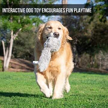 Hyper Pet Doggie Tail Interactive Plush Dog Toy