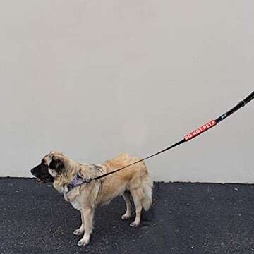 Max and Neo Leash Sleeves DO NOT PET - We Donate 1 for 1 to Dog Rescues for Every Product Sold (Single)