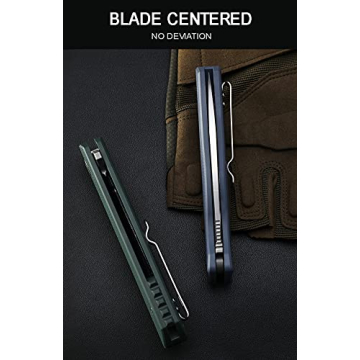 Petrified fish G10 handle D2 steel blade 2CR13 liner ball bearing flipper folding knife camping hunting EDC pocket tool PF818 (Black, Stonewash)