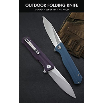 Petrified fish G10 handle D2 steel blade 2CR13 liner ball bearing flipper folding knife camping hunting EDC pocket tool PF818 (Black, Stonewash)