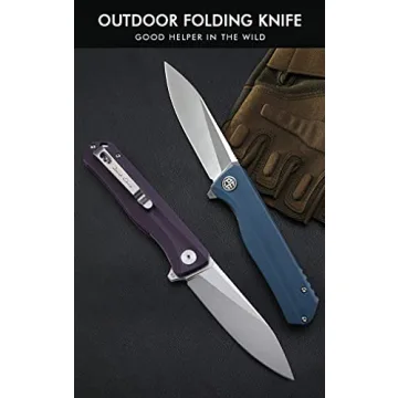 Petrified fish G10 handle D2 steel blade 2CR13 liner ball bearing flipper folding knife camping hunting EDC pocket tool PF818 (Black, Stonewash)