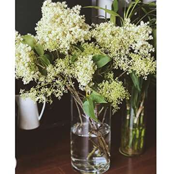 Homerove Glass Flower Vase, Set of 12 Clear Glass Cylinder Vase, Floating Candle Holder Vase for Wedding and Party (6 inch Tall)