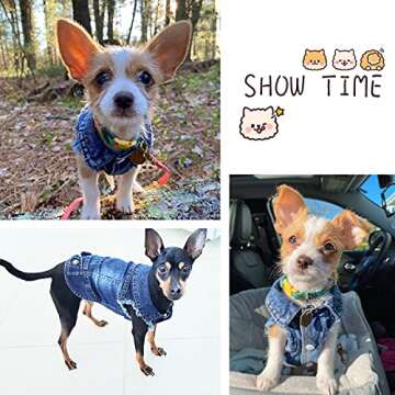 SILD Pet Clothes Dog Jeans Jacket Cool Blue Denim Coat Small Medium Dogs Lapel Vests Classic Hoodies Puppy Blue Vintage Washed Clothes