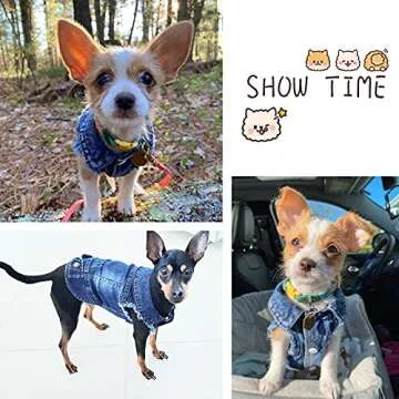 SILD Pet Clothes Dog Jeans Jacket Cool Blue Denim Coat Small Medium Dogs Lapel Vests Classic Hoodies Puppy Blue Vintage Washed Clothes