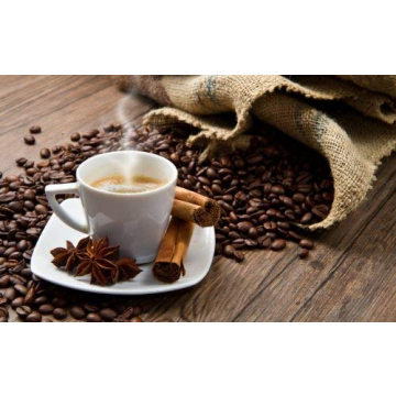 Tortuga Caribbean Rum Cream Flavored Coffee for Gifts