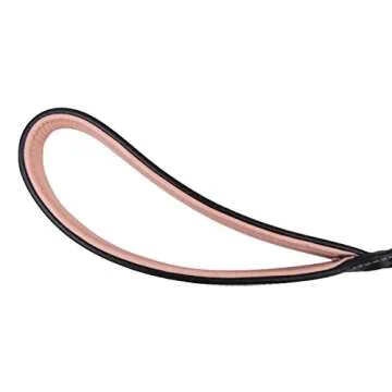 Quality Leather Braided Dog Leash with Padded Handle