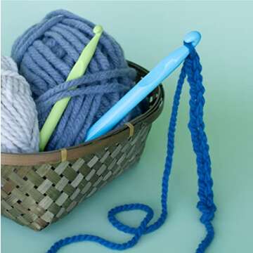 Boye Wright Products Boye 74492 Jumbo Plastic Crochet Hook Set, Sizes P16 & Q