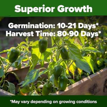 HOME GROWN Jalapeno Pepper Seeds (Capsicum annuum) - High Germination, Non-GMO Heirloom Seeds - 129 ...