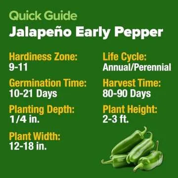 HOME GROWN Jalapeno Pepper Seeds (Capsicum annuum) - High Germination, Non-GMO Heirloom Seeds - 129 Hot Pepper Seeds for Planting - Easy to Grow, Early Harvest Jalapeno Seeds for Enthusiast