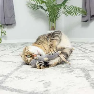 SPOT Flat Mouse Frankie with Catnip - Cat Toy, Fuzzy Mice with Catnip and Crinkle Sound, Perfect Size for Pouncing on, Chasing, Hunting - 5.5in Plush Toys, Assorted Colors