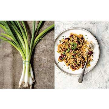 Vegetable Kingdom: The Abundant World of Vegan Recipes