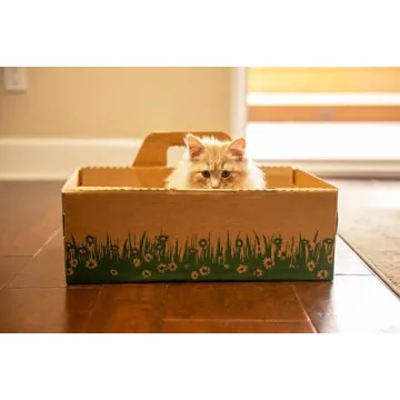 Disposable Ten Second Litter Boxes for Easy Cleanup