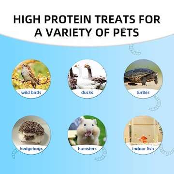 I LOVE WORMS Dried Black Soldier Fly Larvae (5lb), 100% Natural Non-GMO, Treat for Chickens, More Calcium Chicken Feed Than Mealworms