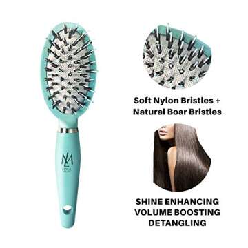Leyla Milani Small Hair Brush - Mini Miracle Brush Human Hair Detangler Travel Brushes for Sensitive Scalp, Detangling, Volumizing, Nylon Boar Bristle, Best Paddle Brush for Women, Men, Kids (Teal)