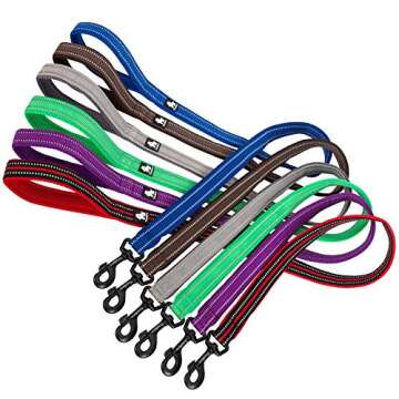 juxzh Reflective Dog Leash .Pet Leash for Medium to Large Dogs Outdoor Adventure and Training Gray