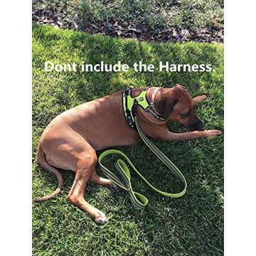 juxzh Reflective Dog Leash .Pet Leash for Medium to Large Dogs Outdoor Adventure and Training Gray